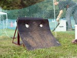 Flyball Machine