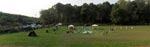 Flyball Panorama