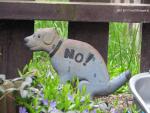 No dog poo