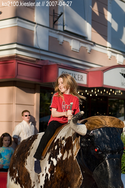 bull riding